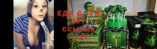 гашик Майский