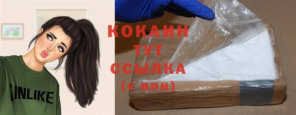 бошки Лабытнанги