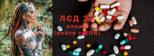 мдпв Богданович