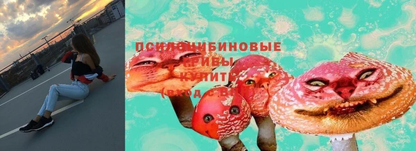 соль ск Кстово