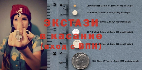 гашик Богородицк