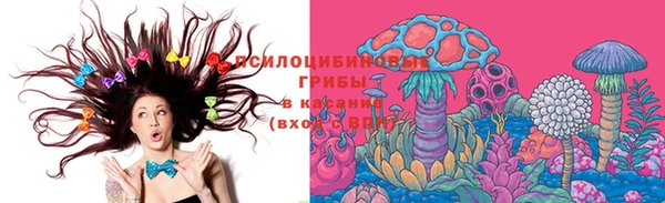гашик Богородицк