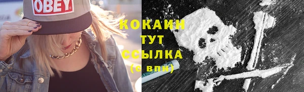 гашик Богородицк